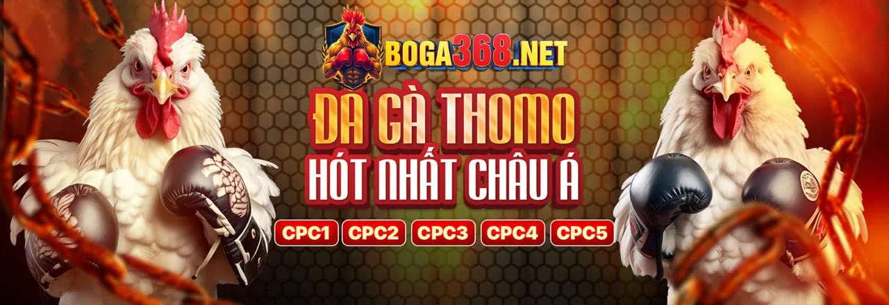 Các phương thức thanh toán an toàn và nhanh chóng tại zj3979 nhà cái