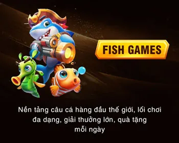 Lý do chọn zj3979 nhà cái
